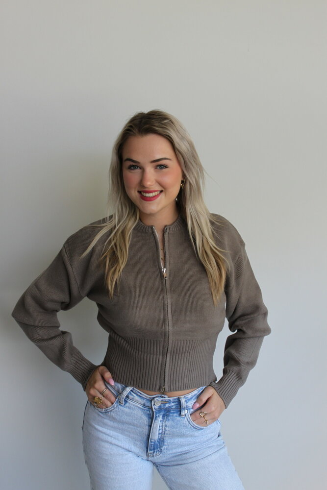 Taupe zip knit sweater
