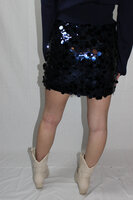 Blue sequin skirt
