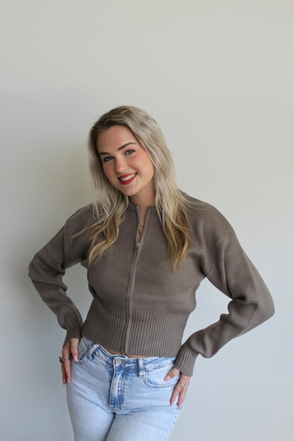 Taupe zip knit sweater